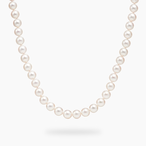 The minimal Akoya Pearl Necklace